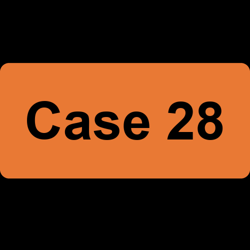 Case 28